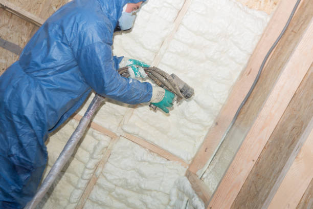 Best Radiant Barrier Insulation  in Goodwell, OK